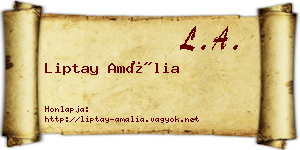 Liptay Amália névjegykártya